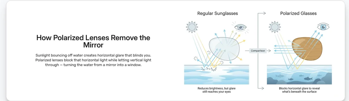Polarized lens glare reduction principle